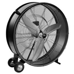 Fan with Wheels